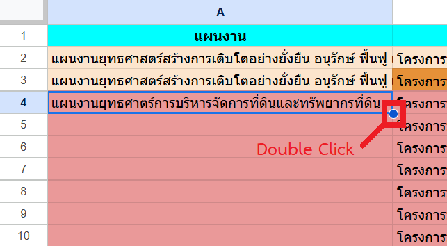 เติมข้อมูลแผนงาน